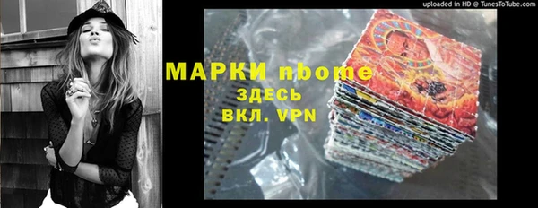сатива Инсар