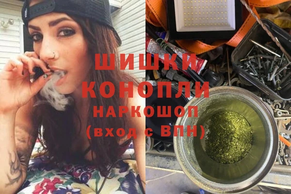 сатива Инсар