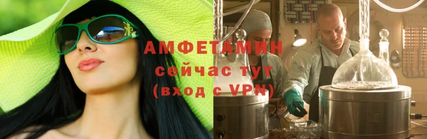 сатива Инсар