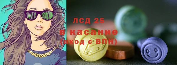 сатива Инсар