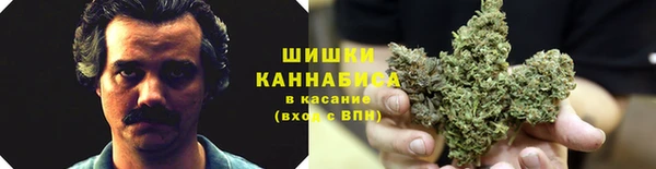 спайс Иннополис