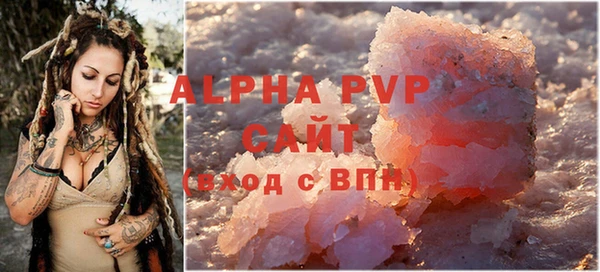 сатива Инсар