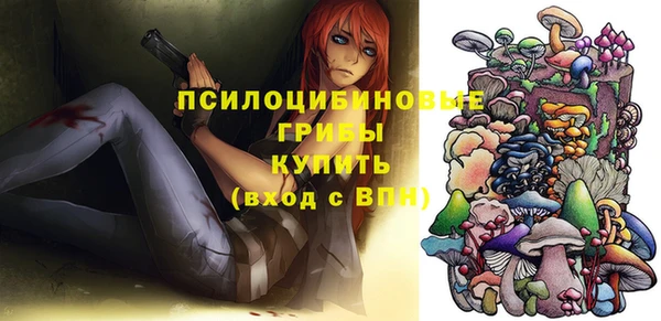 дмт Приозерск