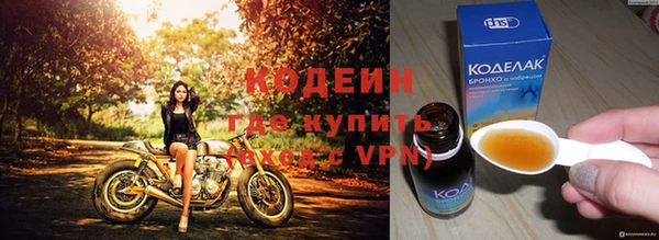 apvp Инта