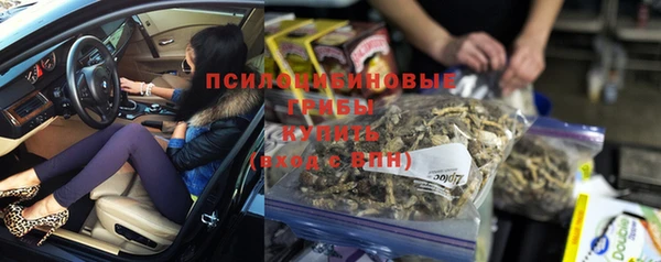 амф Зеленокумск
