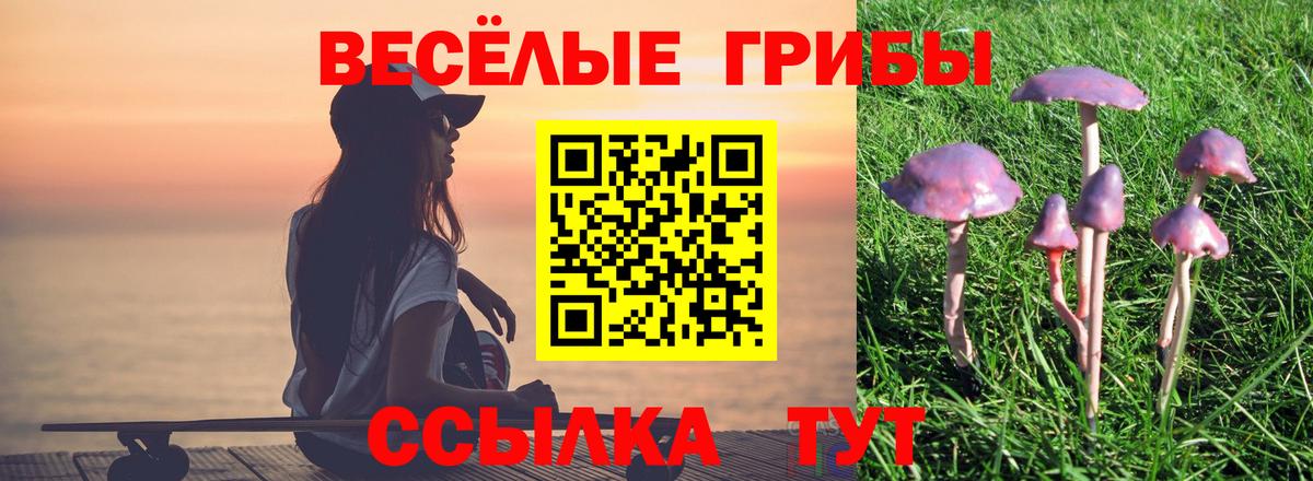 Псилоцибиновые грибы ЛСД  Галлюциногенные грибы Cubensis  купить наркотики цена  Вход с VPN  Северобайкальск 