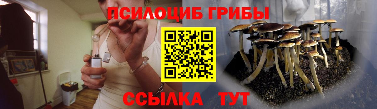 Псилоцибиновые грибы GOLDEN TEACHER Северобайкальск